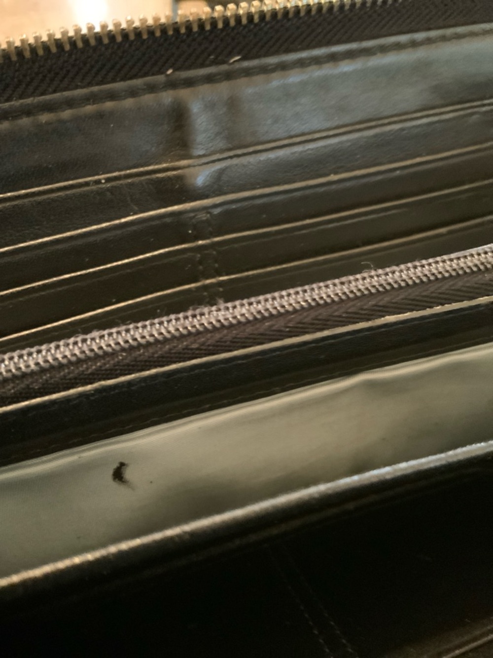 Coach Black and White Signature Zip Around Wallet - Picture 10 of 12